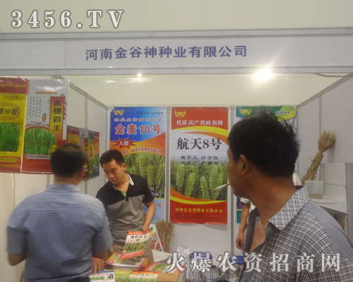 金谷神種業(yè)努力拼搏2013鄭州種子會(huì)
