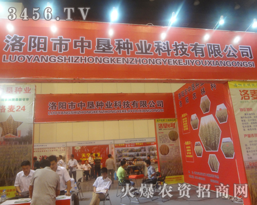 洛陽市中墾種業(yè)科技有限公司在2013河南種子雙交會與客戶交流