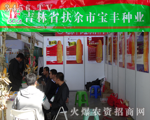 吉林省扶余縣寶豐種業(yè)在2013長春種子會展示越的產(chǎn)品