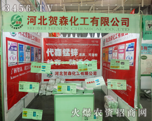 河北賀森化工有限公司的展位前,過(guò)往的人們絡(luò)繹不絕