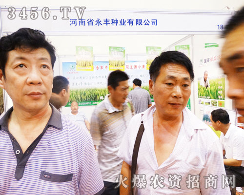 河南省永豐種在2014河南夏季種子會上堅(jiān)持不懈
