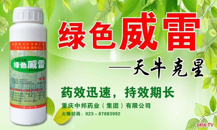 綠色威雷新品新包裝,新價位!!