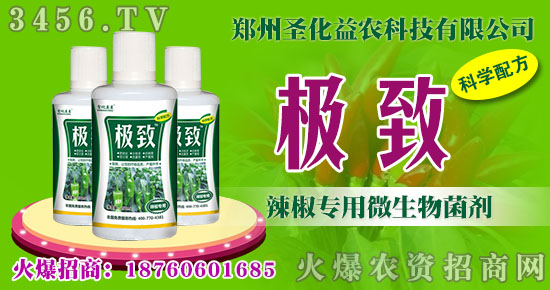 辣椒專用微生物菌劑--圣化益農(nóng)