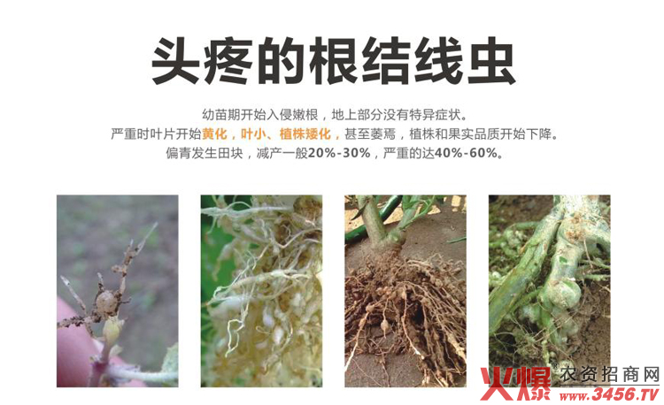 中牟僑邦植物保護有限公司