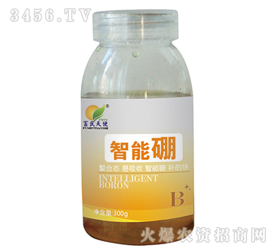 300g智能硼-富民天使-金波爾