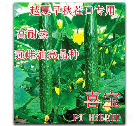 ϲ-SϷN-ʢrI(y)