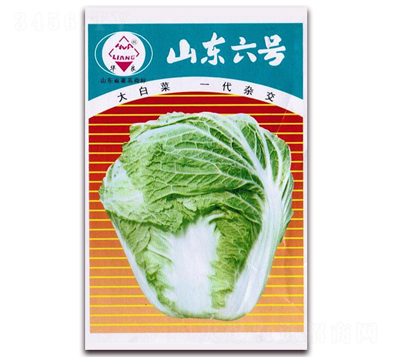 山東六號(hào)-大白菜種子-華良種業(yè)