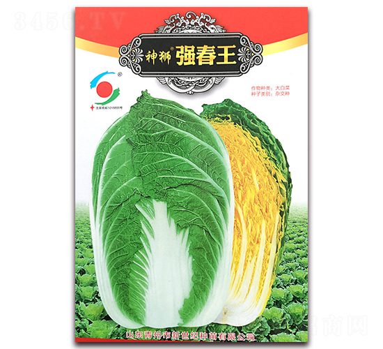 神獅強(qiáng)春王-白菜種子-新世紀(jì)