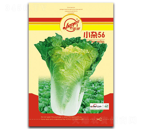 Сs56-ﲥײ˷N-z
