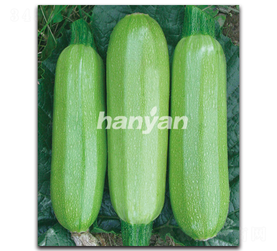 h̖-JN-h