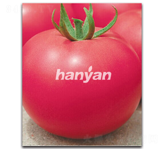 h̖-ѷN-h