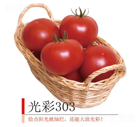 303-ѷN-r(nng)I(y)