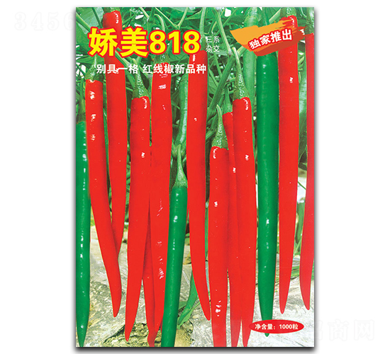 818-(xin)N-A߷NI(y)