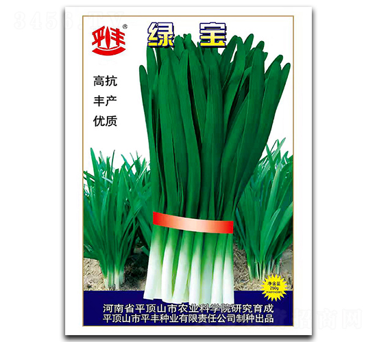 綠寶-韭菜種子-平豐種業(yè)