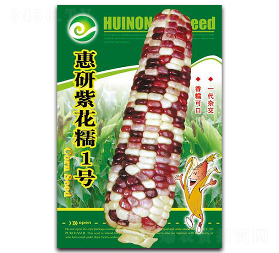 惠研紫花糯1號(hào)-糯玉米種子-中創(chuàng)智豐