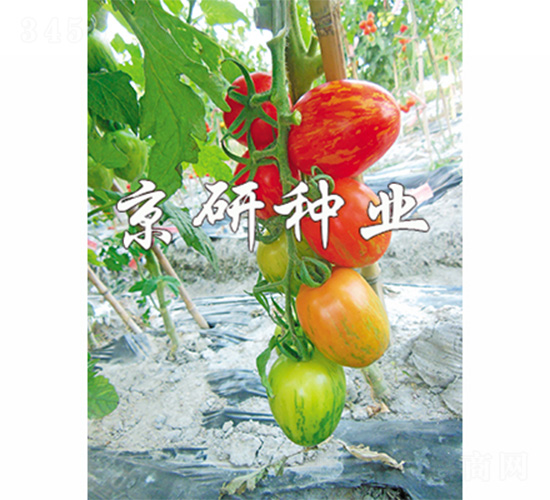 в2̖(ho)-ѷN-