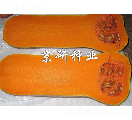 S2̖(ho)Ϲ-ϹϷN-