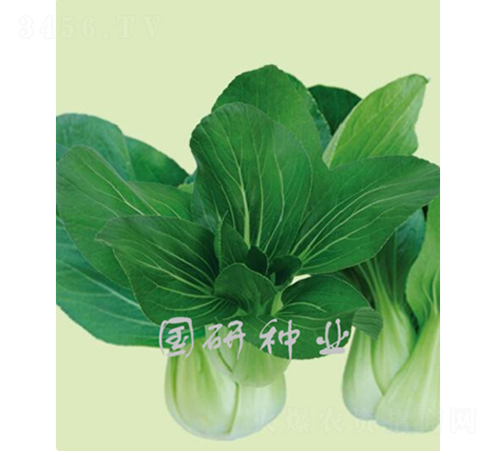 ๣-Ͳ˷N-(gu)зNI(y)