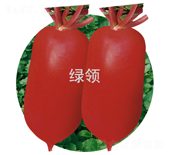 ļt3̖-}N-GINI(y)