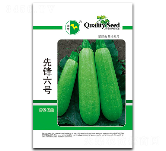 先鋒六號(hào)-西葫蘆種子-德豐種業(yè)