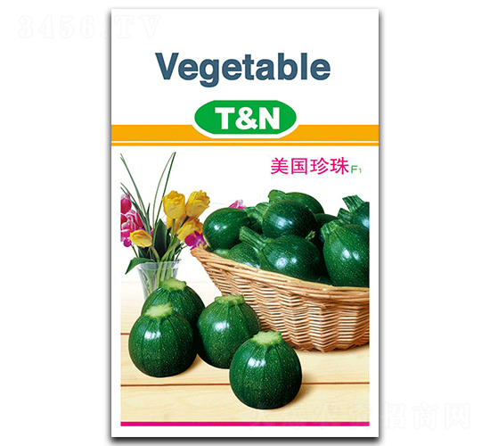 美國珍珠-西葫蘆種子-德豐種業(yè)