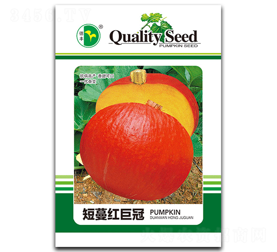 短蔓紅巨冠-南瓜種子-德豐種業(yè)