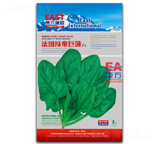 法國(guó)綠帝巨菠-菠菜種子-祥瑞達(dá)