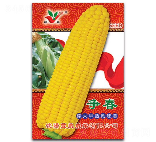 爭春-糯玉米種子-豐農(nóng)農(nóng)業(yè)