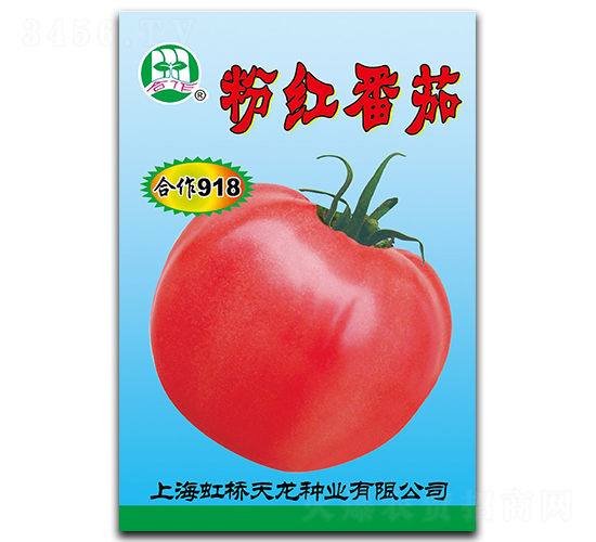 合作918-番茄種子-天龍種業(yè)