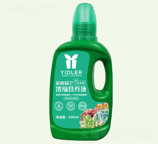 ͥ@ˇI(yng)B(yng)Һֲ-