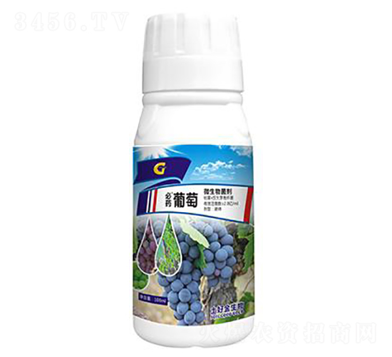 100ml΢-ˎ-ý