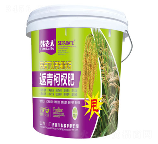 辷-n̫-Ƽ