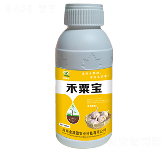 ⽡-ڌ-Mӯ