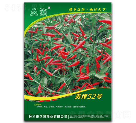F52̖-콷N-NI(y)