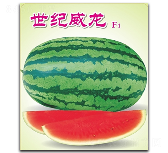 o-ϷN-߿ƷNI(y)