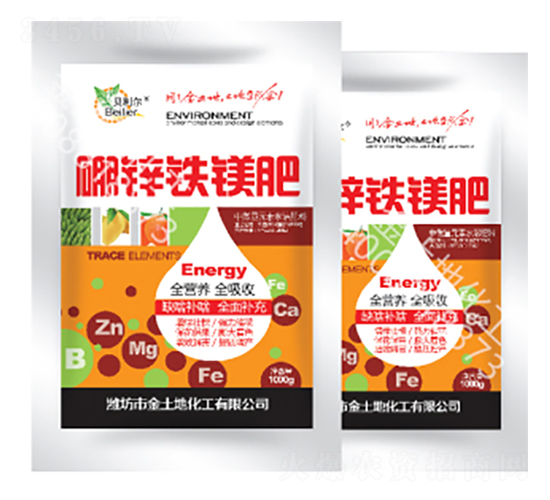 1000g\FV-