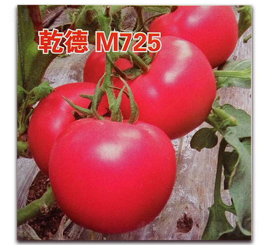 ǬM725-ѷN-Ǭ·NI(y)