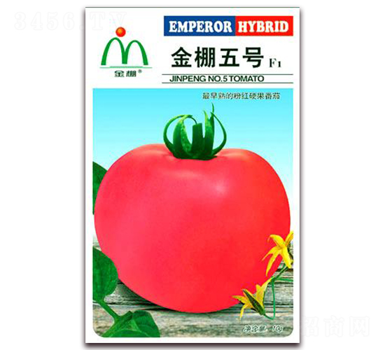 ̖-ۼtѷN-i