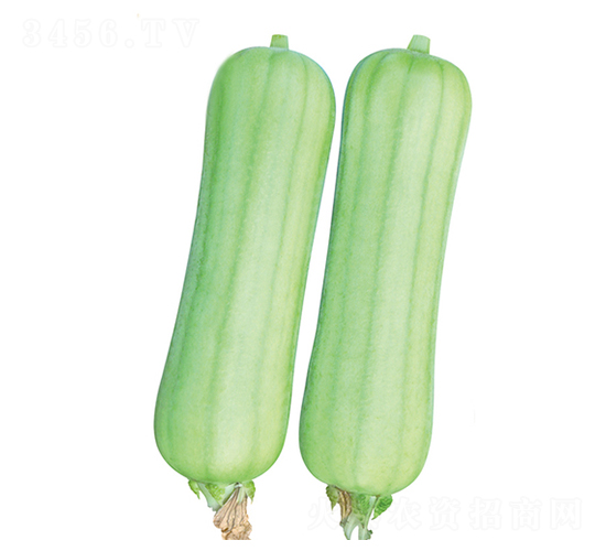 ̖-zϷN-