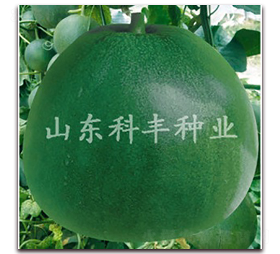 䌚-ϷN-SNI(y)