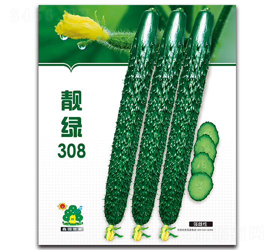 nG308-SϷN-Έ@