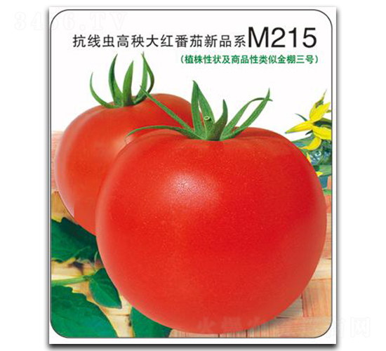 M215-ѷN
