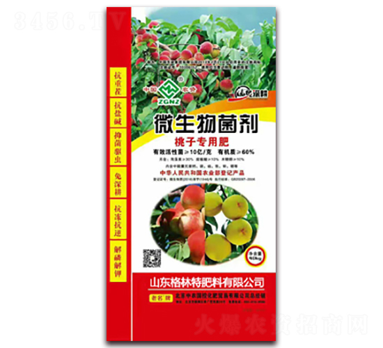 ӌ(zhun)÷-