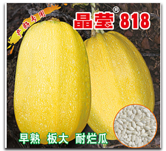 818-JN-x(li)