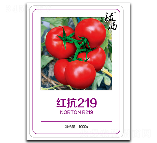 紅抗219（無限紅果番茄）-番茄種子-徽大農業(yè)