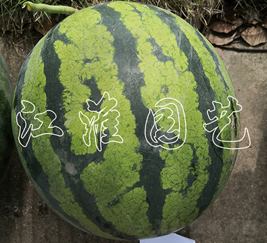 3̖(ho)-ϷN-@ˇ