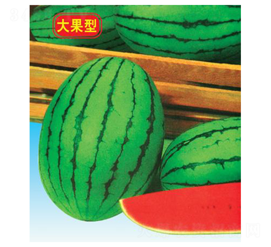 紺t-ϷN-΢ȷNI(y)