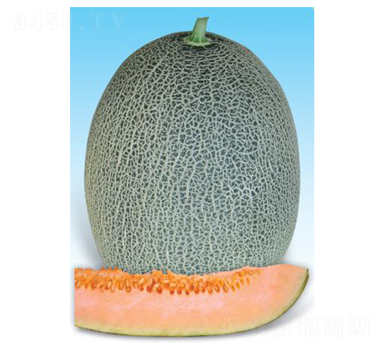 t̖-ϷN-΢ȷNI(y)