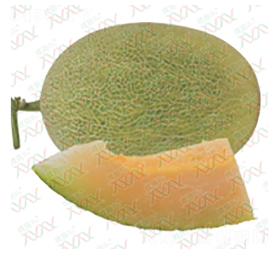 M-15017-ϷN-΢ȷNI(y)