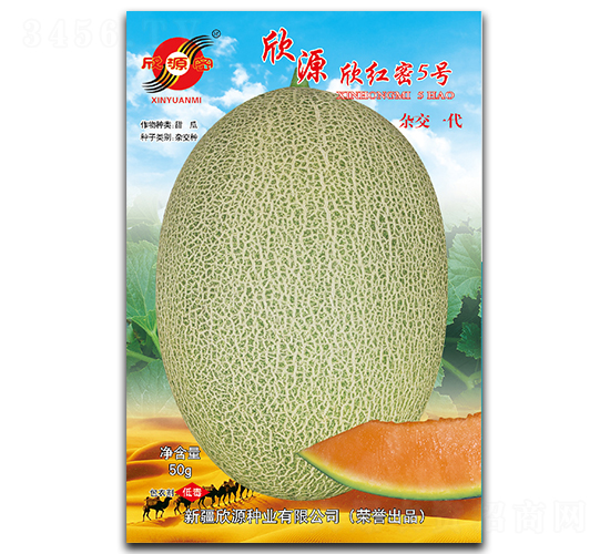t5̖(ho)-ϷN-ԴNI(y)
